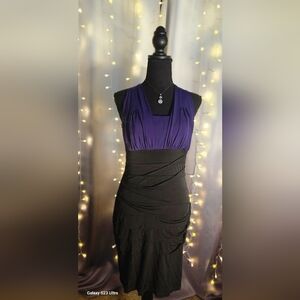 Elegant Black and Purple Dress